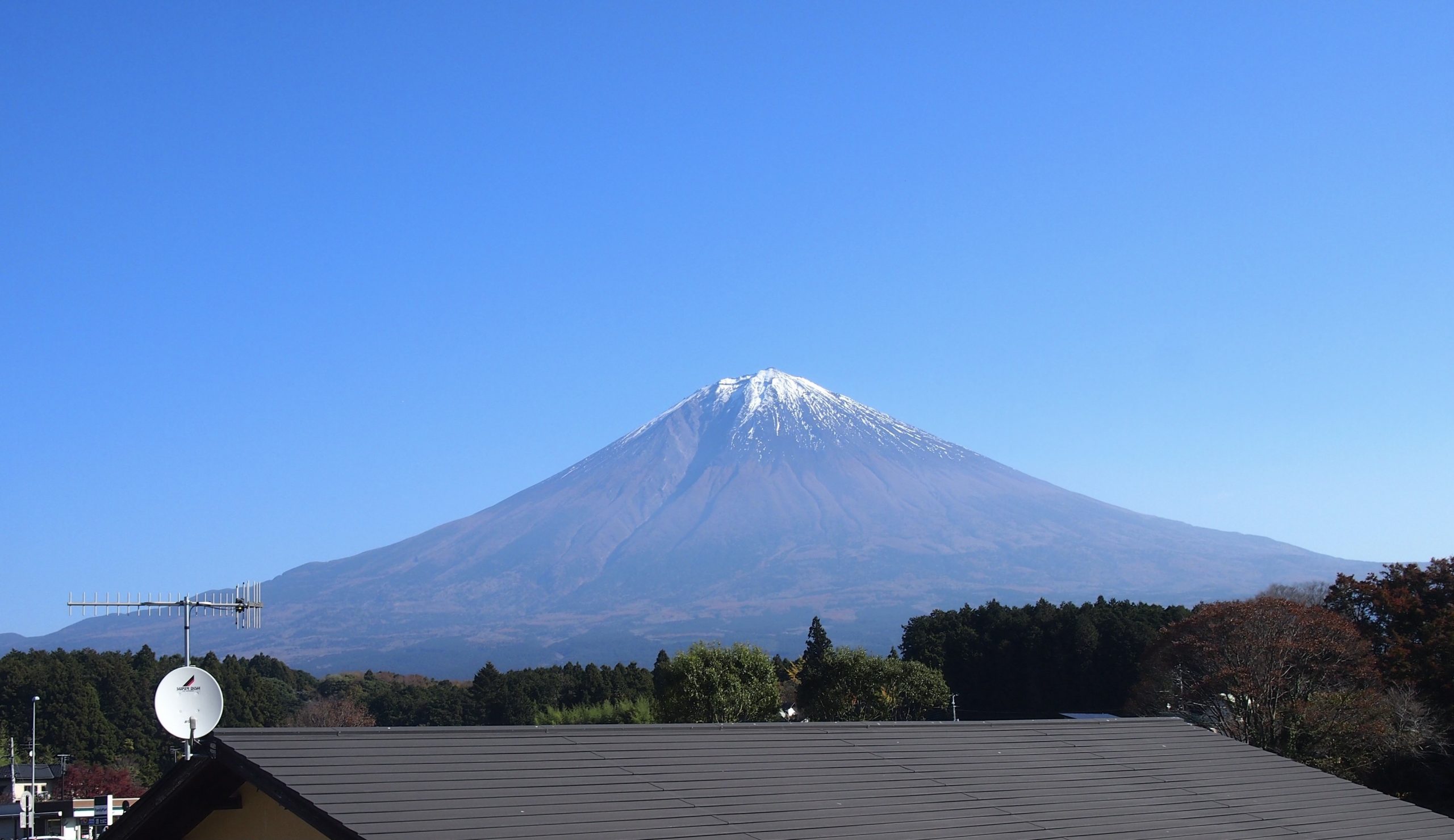 お出かけ日和